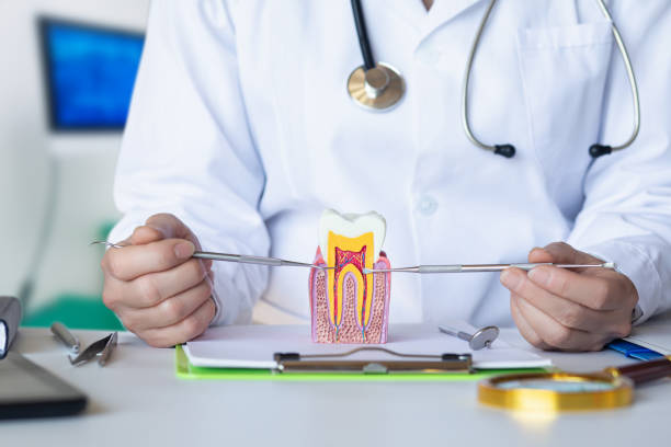 Best Dentist for Dental Trauma  in Collinsburg, PA